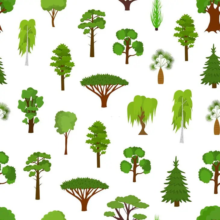 types of trees in washington