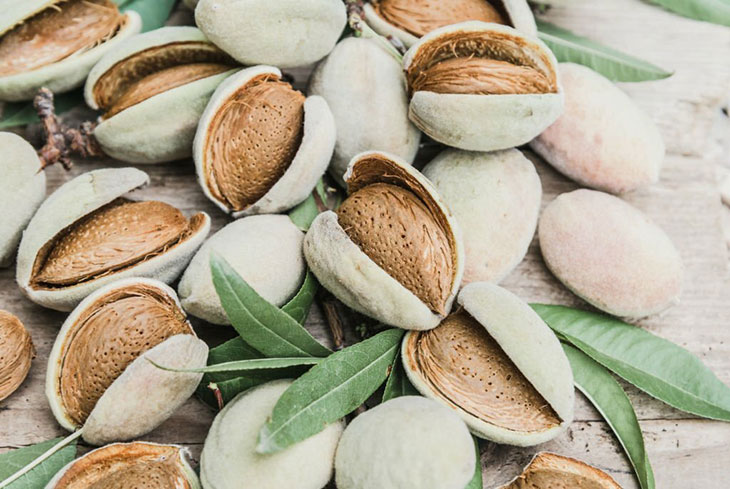 Tips For Growing Almond Trees